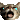 Favicon 33