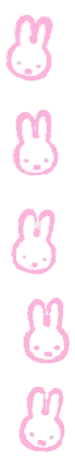 bunny